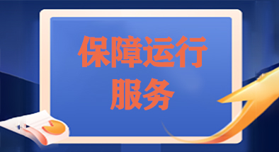 保障运行服务
