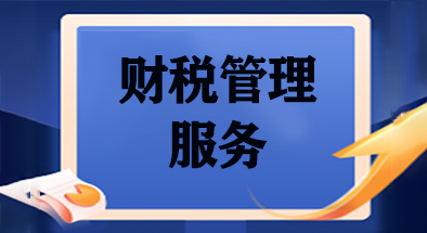 财税管理服务